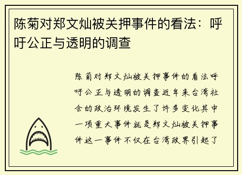 陈菊对郑文灿被关押事件的看法：呼吁公正与透明的调查
