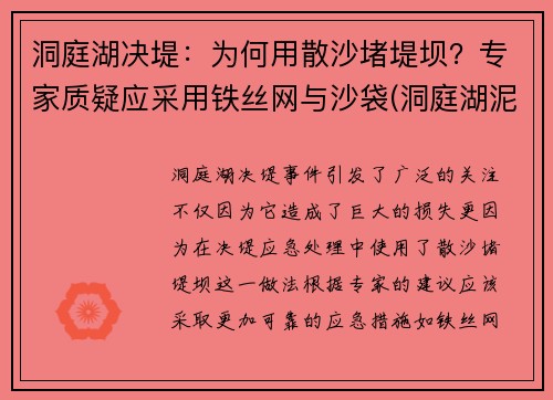 洞庭湖决堤：为何用散沙堵堤坝？专家质疑应采用铁丝网与沙袋(洞庭湖泥沙)