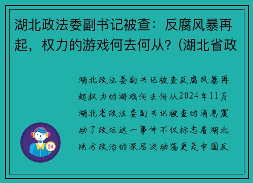 湖北政法委副书记被查：反腐风暴再起，权力的游戏何去何从？(湖北省政法委副书记)