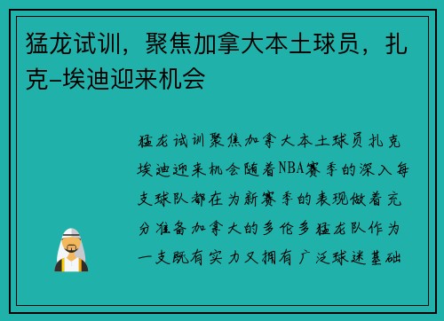 猛龙试训，聚焦加拿大本土球员，扎克-埃迪迎来机会