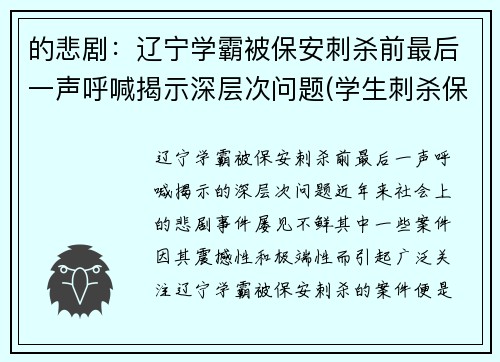 的悲剧：辽宁学霸被保安刺杀前最后一声呼喊揭示深层次问题(学生刺杀保安)