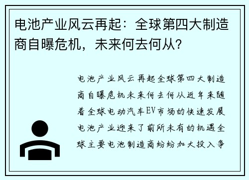 电池产业风云再起：全球第四大制造商自曝危机，未来何去何从？