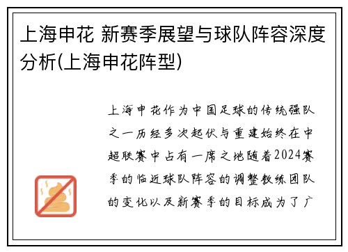 上海申花 新赛季展望与球队阵容深度分析(上海申花阵型)