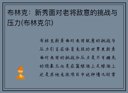 布林克：新秀面对老将敌意的挑战与压力(布林克尔)